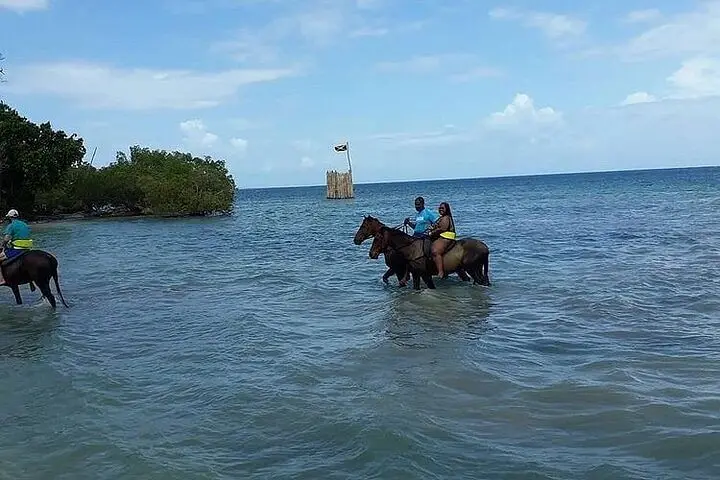 Tour Image