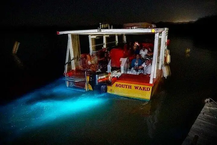Bob Marley's Mausoleum and Luminous Lagoon