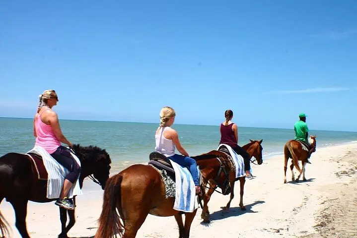 Tour Image