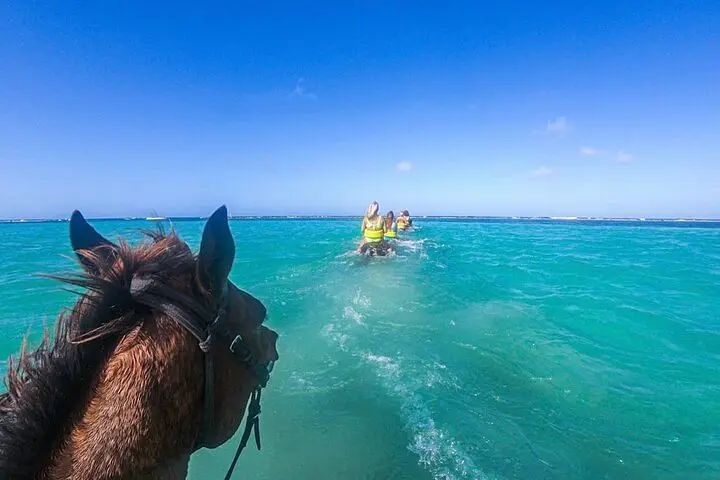 Horse Back Ride with Bamboo Rafting & Limestone Massage Combo from Montego Bay