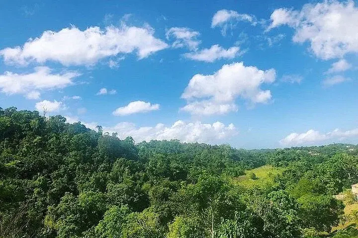 Bob Marley's Nine Mile Day-Trip with guided tour from Montego Bay