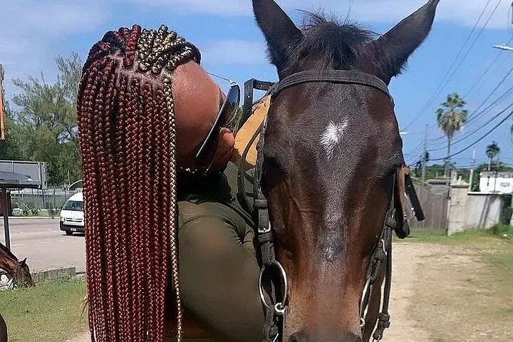 Dunn’s River Falls,Zip lining & horseback riding Combo tour from Montego Bay