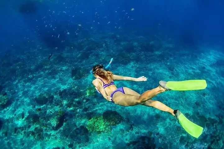 Catamaran Cruise, Snorkeling and Dunn's River Falls